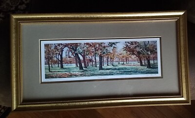JAN BOELTE Cobb Park Signed Limited Ed. 27/500 PRINT Kankakee Illinois Shapiro