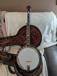 Stelling Staghorn 5 String Banjo