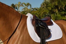 EquiFit Essential Square Pad - White