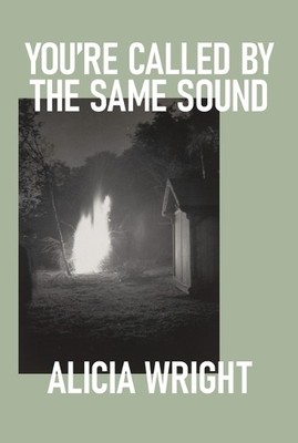 Alicia Wright You're Called by the Same Sound (Taschenbuch)
