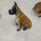 Picture 8 of 24