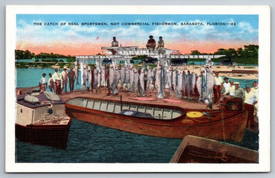 #ad Fishermans Days Catch Stringer Pole Sarasota FL C1940s Postcard AA24 $7.50