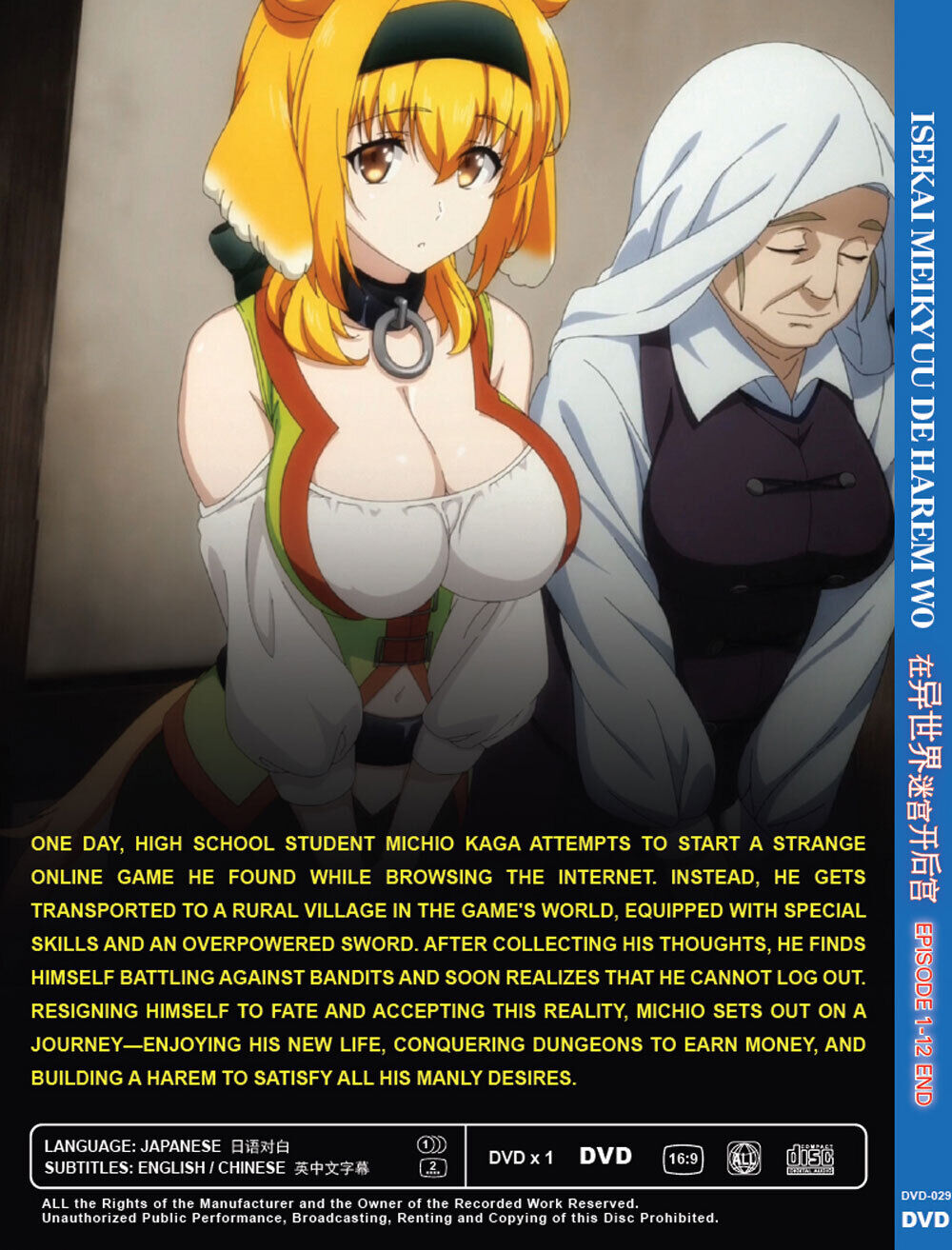 Anime Dvd Isekai Meikyuu De Harem Wo Vol.1-12 End * ترجمة باللغة الإنجليزية  ** غير مقطوعة