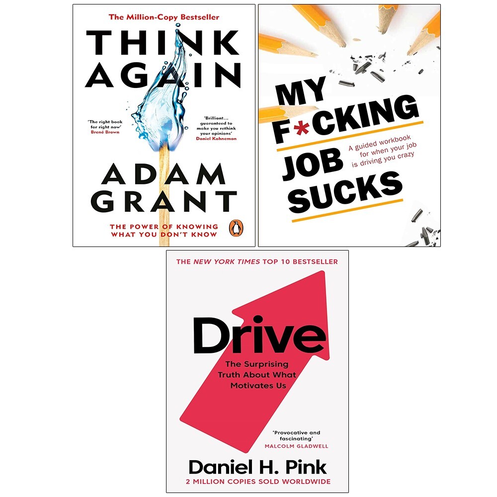 Drive: The Surprising Truth About What Motivates Us by Daniel H Pink PAPERBACK - Image 14