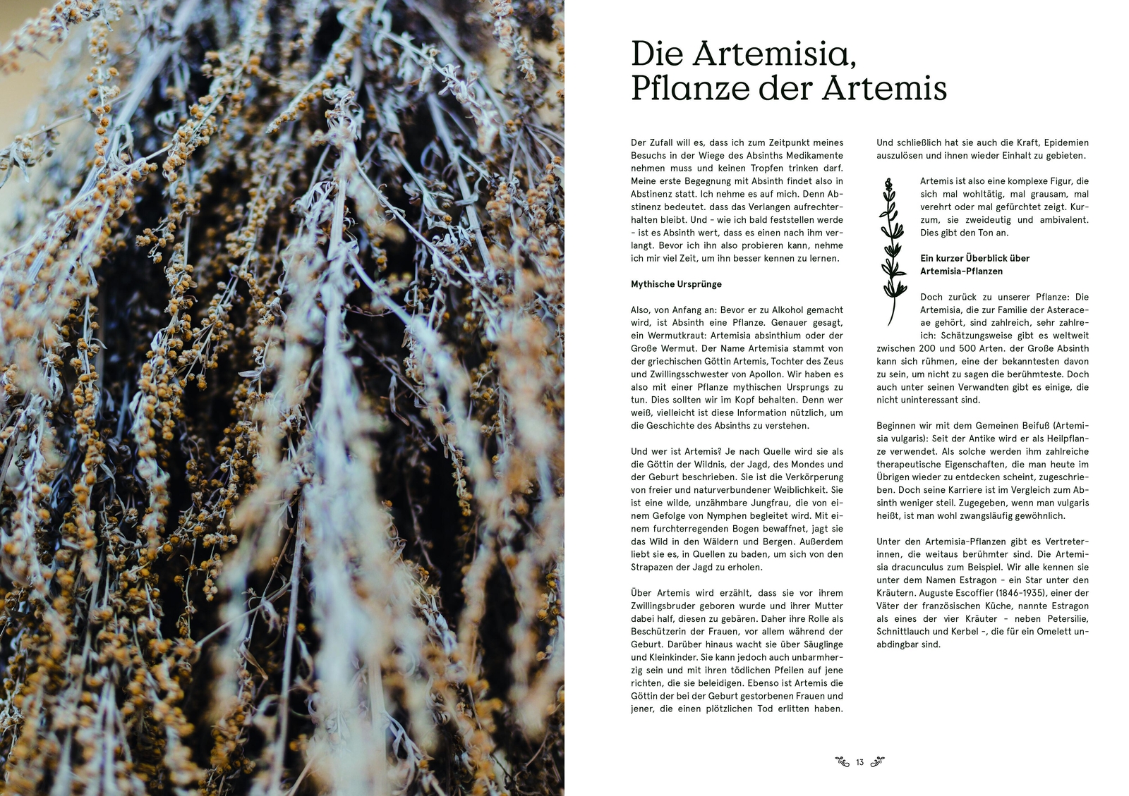 Thumbnail - Absinth Tania Brasseur Wibaut