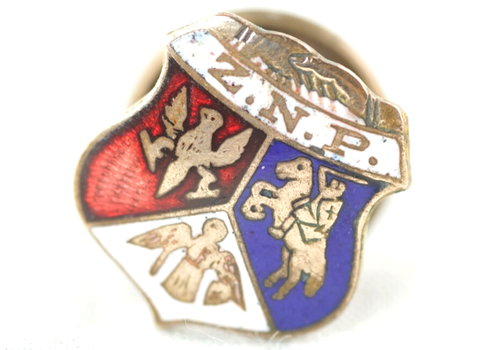 Antique Polish National Alliance ZNP Insignia Polish Fraternal Organization Pin - Afbeelding 1 van 4
