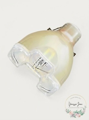 Philips 276089 - MSD Platinum 15R 300 Watt Metal Halide Light Bulb