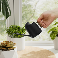 Bamworld GießKanne Klein Zimmerpflanzen Mini Giesskanne Edelstahl Langer Auslauf