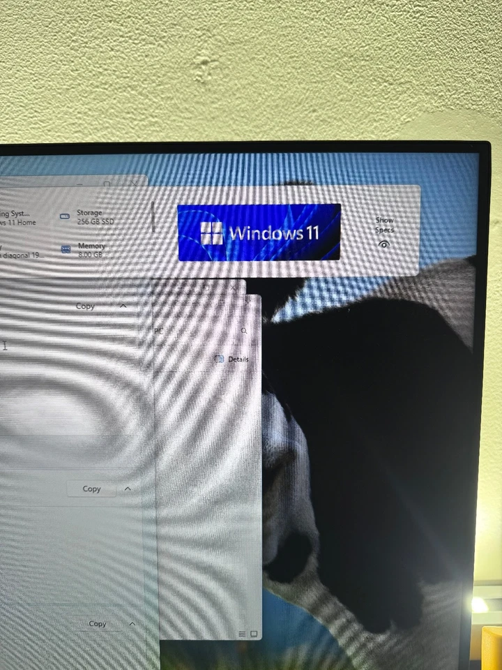 Gateway GWNR5L1746 17.3" AMD Ryzen 5 5500U 24GB RAM 256GB SSD Windows 11 4 Parts - Image 3 of 4