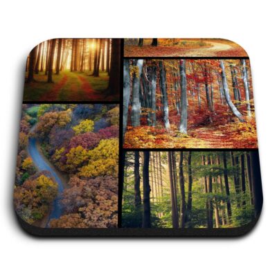 1x Square Fridge MDF Magnet Forest Trees Nature Wilderness Tree #63107 ...