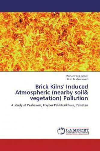 Thumbnail - Brick Kilns' Induced Atmospheric (nearby Soil & Vegetation) Pollution