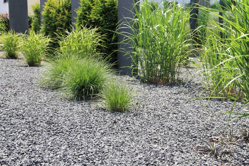 Unkrautvlies Schutzvlies Unkrautflies Wasserdurchlässig HaGa® 150g/m² - Bild 4 von 4