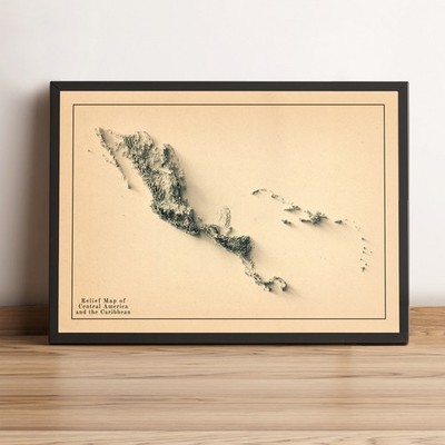 Central America Map, Central America 2D Relief Map - 2D Flat Print
