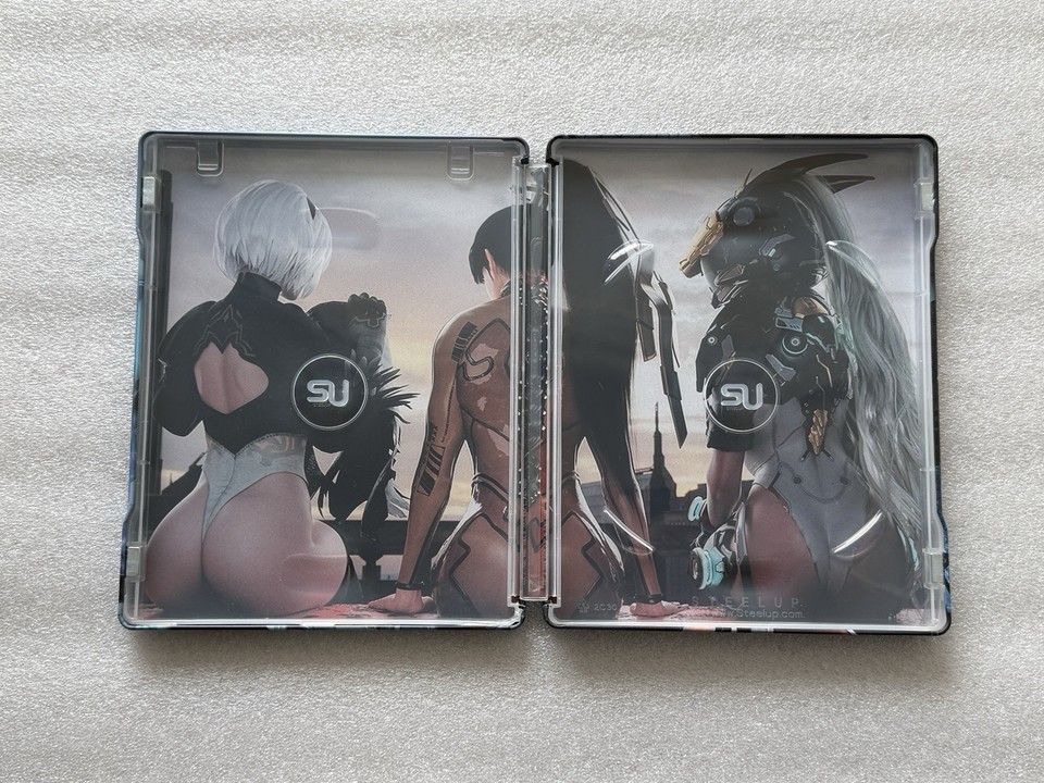 Steelbook Vide Anthem - Format G2 Pour PS4 Ou Xbox One - Bon état, Boîtier De Collection