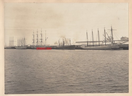 Original Photo of SAILING SHIPS at PORT ADELAIDE WHARVES South Australia c1912 - Foto 2 di 2