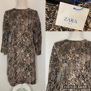 snake print shift dress