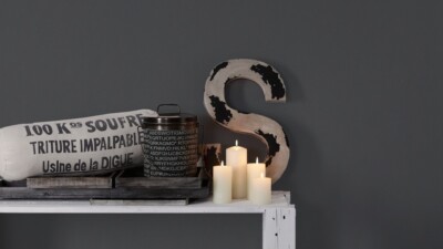  1,31 qm    1  Ro. AS Creation Die glatte Wand Meistervlies 3095-49 grauschwarz