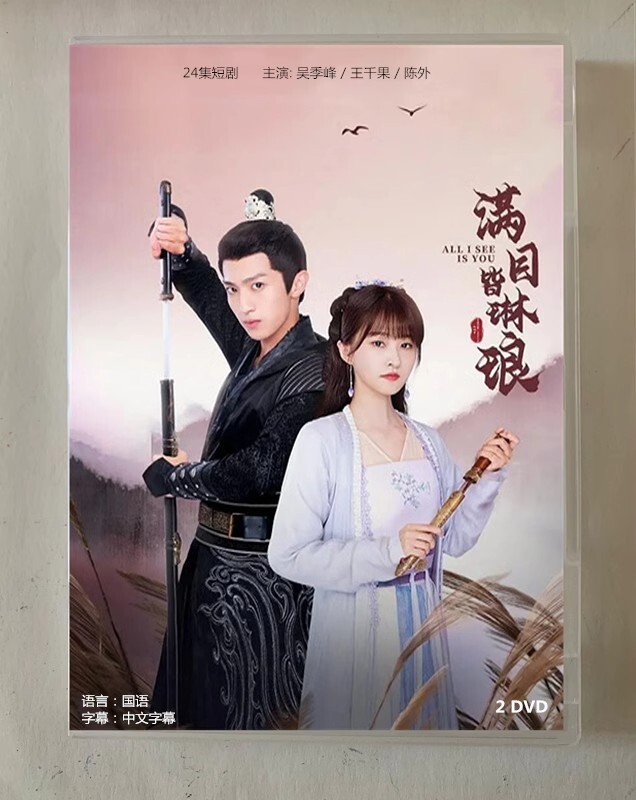 Chinese Drama TV all i see is you 2DVD/disc Chinese Sub 满目