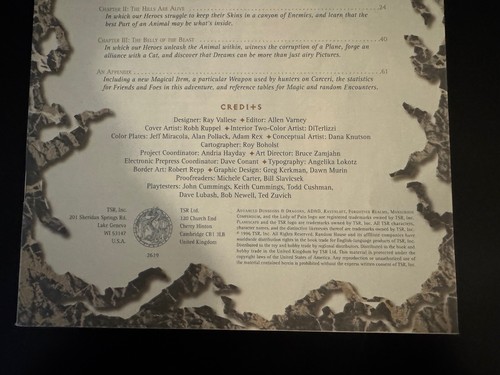 Planescape Something Wild AD&D module 1996 GD 6011 - Picture 5 of 5