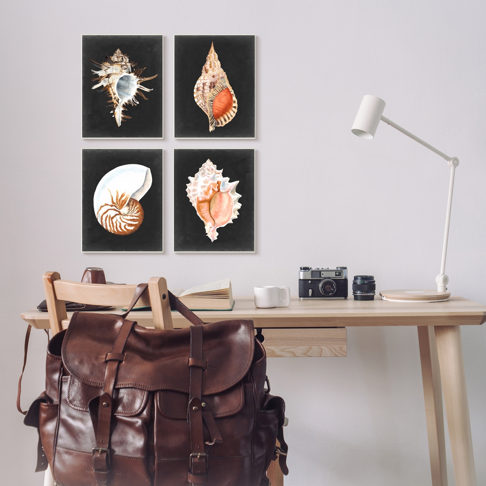 Stupell Sea Shell Clam Conch Collection Realistic Illustration 4pc Multi Piece