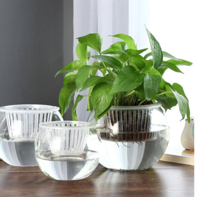 Transparent Blumentopf Hydrokultur Pflanze Vase Schreibtisch