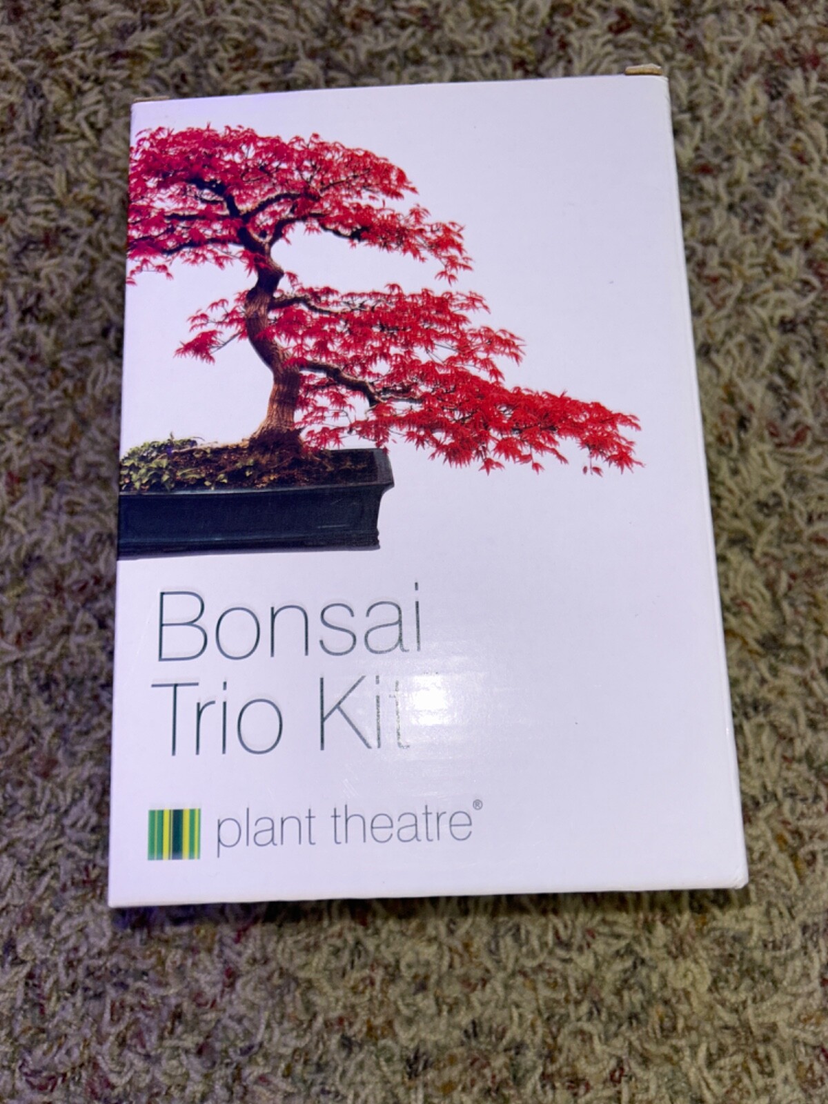 3 Plant Theatre Bonsai Trio Kit, 3 Distinctive Bonsai Trees to Grow new