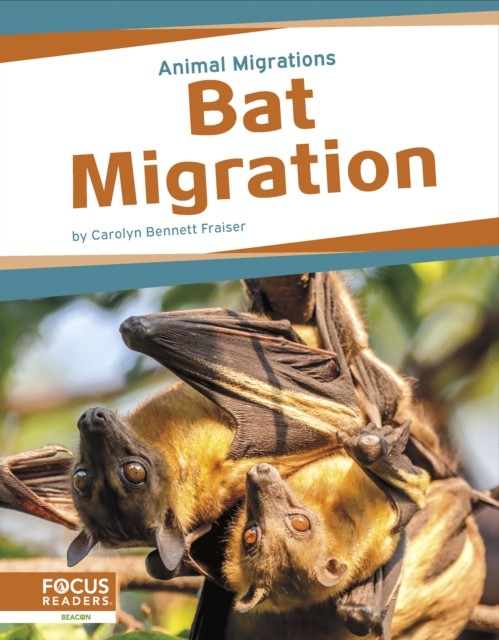 Animal Migrations: Bat Migration by Carolyn Bennett Fraiser HARDBACK