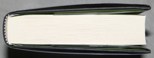 T.J. Klune SIGNED DATED In the Lives of Puppets Hardcover 1st Edition 1st Print - Picture 11 of 12
