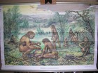 Schulwandbild Tableau Altmensch Homo Sapiens Prae Neanderthalensis 116x78cm