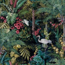 Image of Birds Wallpaper - Exotic Tropical Oriental Parrot Crane Peacock Songbird & More