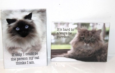 Cute Real CATS IMAGES Set of 2 Refrigerator MAGNETS 2 x 3 Hard 2 B Purrfect NEW