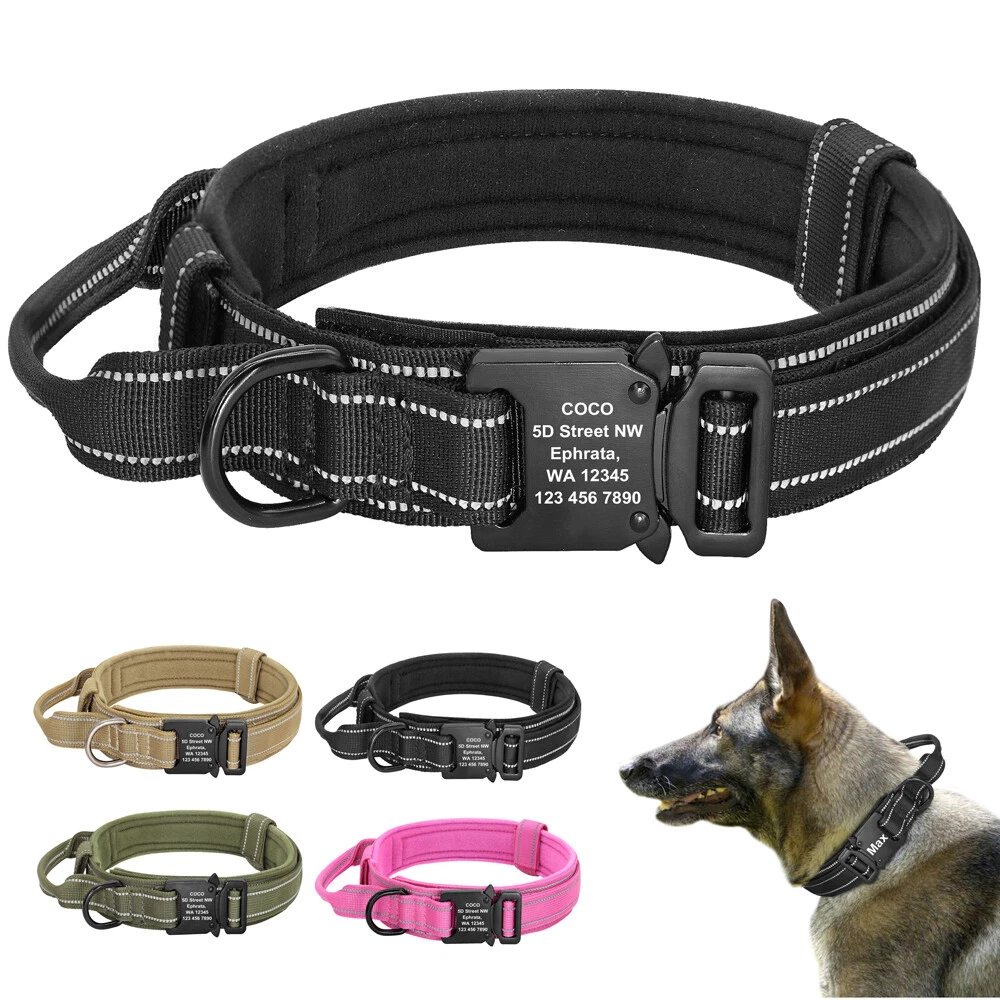 Durable Tactique Collier pour Chien Ensemble de Laisse Réglable Militaire  Collier pour Animaux De Compagnie Laisse Moyen Grand Chien Berger Allemand  Accessoires de Formation