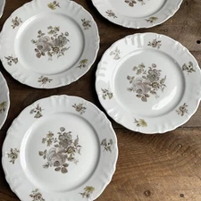 7 Vtg White Dinner Plates Empress Pattern by Winterling 10.25” Platinum Rim