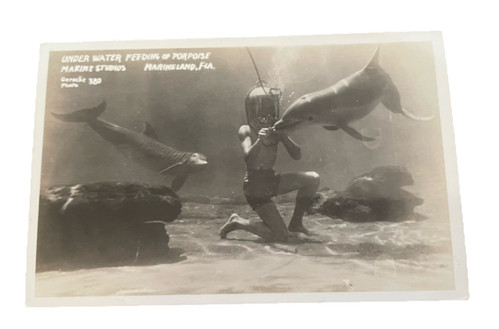 C1940-50 RPPC Underwater, Feeding Of Porpoises, Marine Land,Fl signed