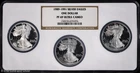 1989-1991 $1 American Silver Eagles 3-Coin Proof Set NGC PR 69 UC