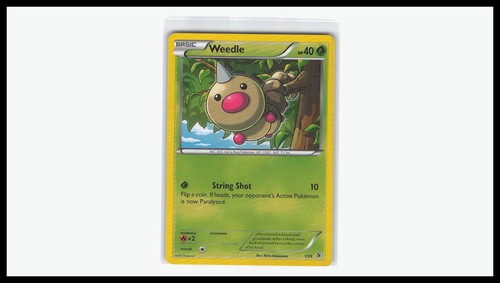 Weedle 1/39 Kalos Starter Set Pokemon Lightly Played