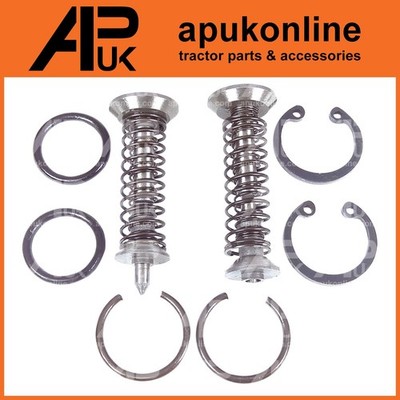 Hydraulikpumpe Ventilkammer Reparatursatz für Massey Ferguson 4215 4220 Traktor
