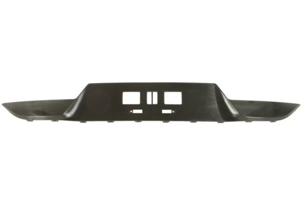 Rear BLIC 6502-07-3170970P Trim/Protection Strip, bumper