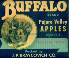 BUFFALO BRAND: Pajaro Valley Apple Crate Label Sign - FRAMED WITH GLASS