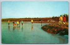 Postcard Massachusetts Hansen Cranberry Bog Ocean Spray 12X