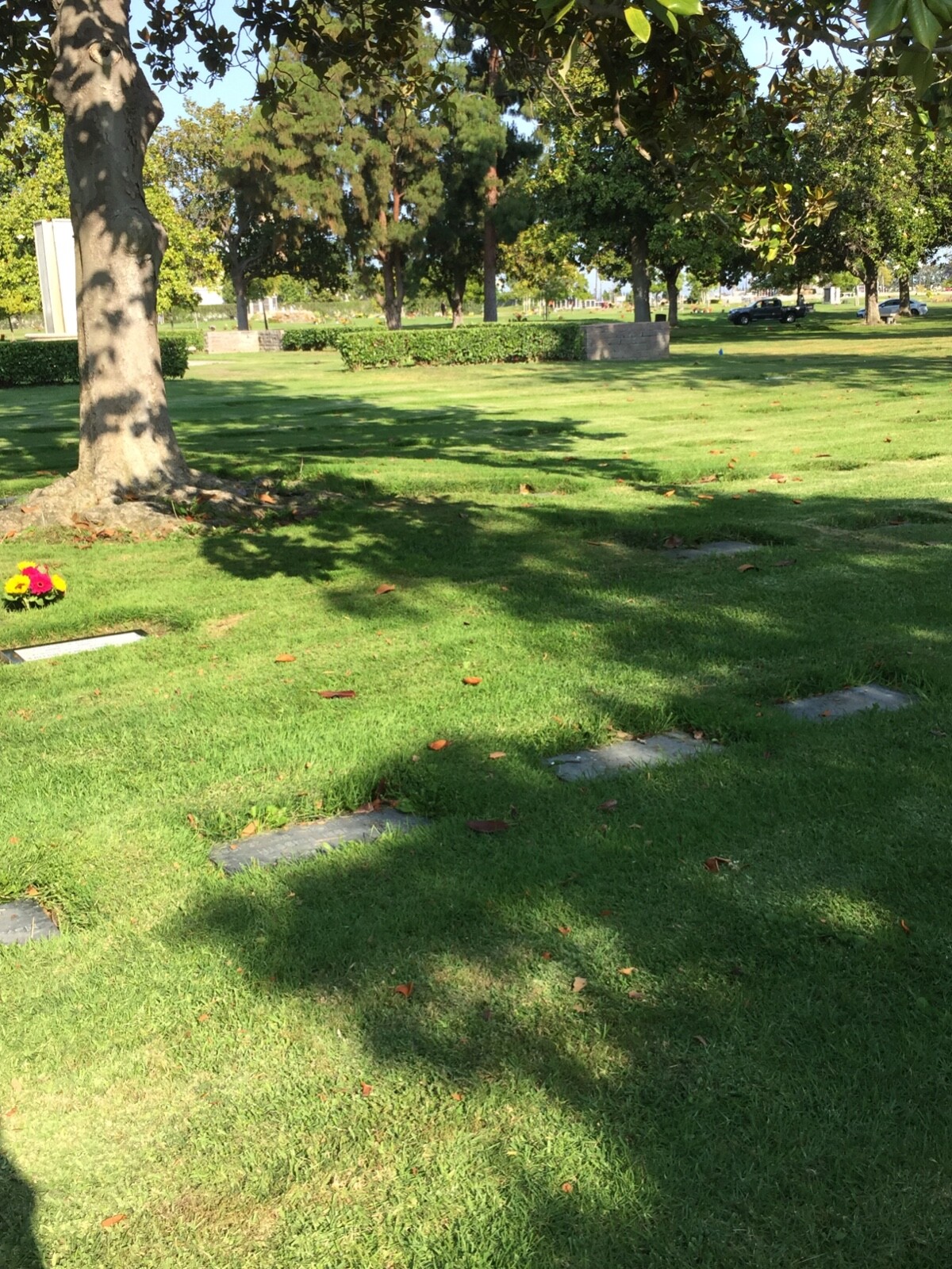 1 cemetery plot in Westminster Memorial Park eBay