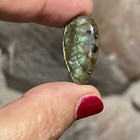 Photo 7/12