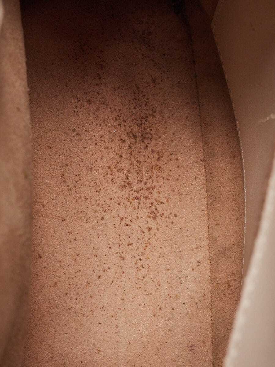 Picture 10 of 12
