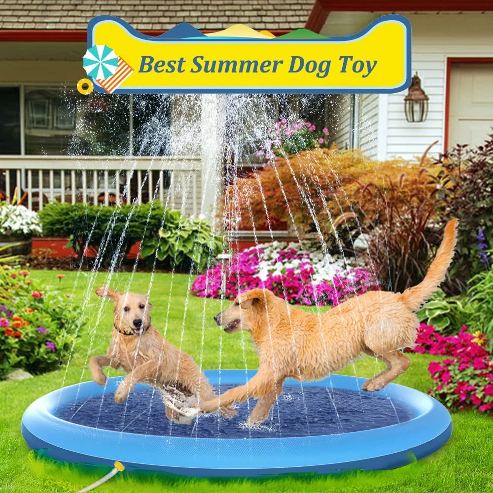 Dog water deals shoes petsmart