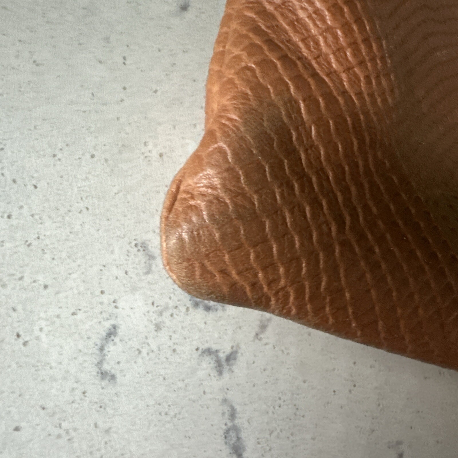 THE SAK  Python Embossed Leather Tan Crossbody Ha… - image 4