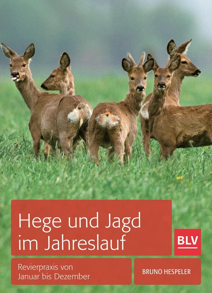 Thumbnail - Bruno Hespeler Hege Und Jagd Jahreslauf: Revierpraxis Von (gebundene