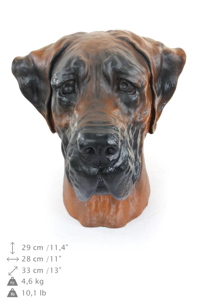 Great dane uncropped sales
