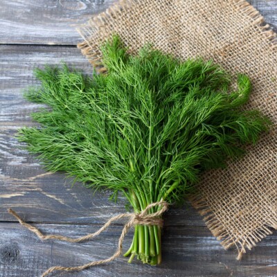 Dill seёds, 500 Dill Hercules,organic Heirloom seёds SW634+TRACK  