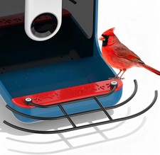 Metal Perch Designed for Bird Buddy Smart Bird Feeder - Add on Accessory with Sc