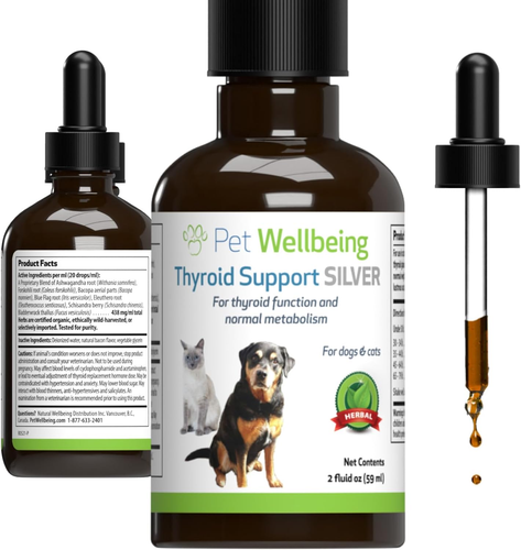 Thyroid Support Silver for Dogs - Supports Underactive Thyroid, Metabolism, Ener